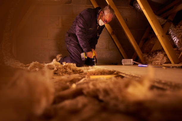 Best Commercial Insulation in Parkway, CA