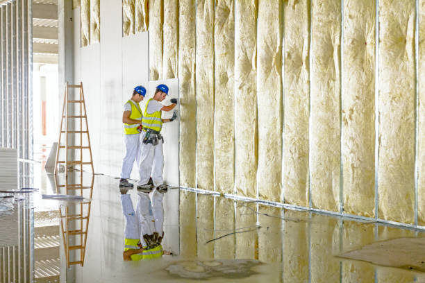 Best Residential Insulation in Parkway, CA
